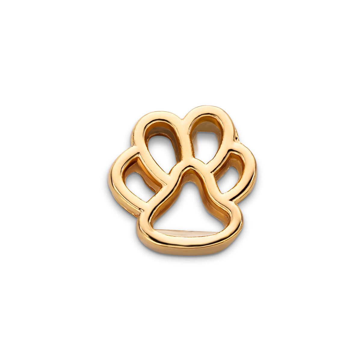 Mesh charm dog foot gold - Stainless steel