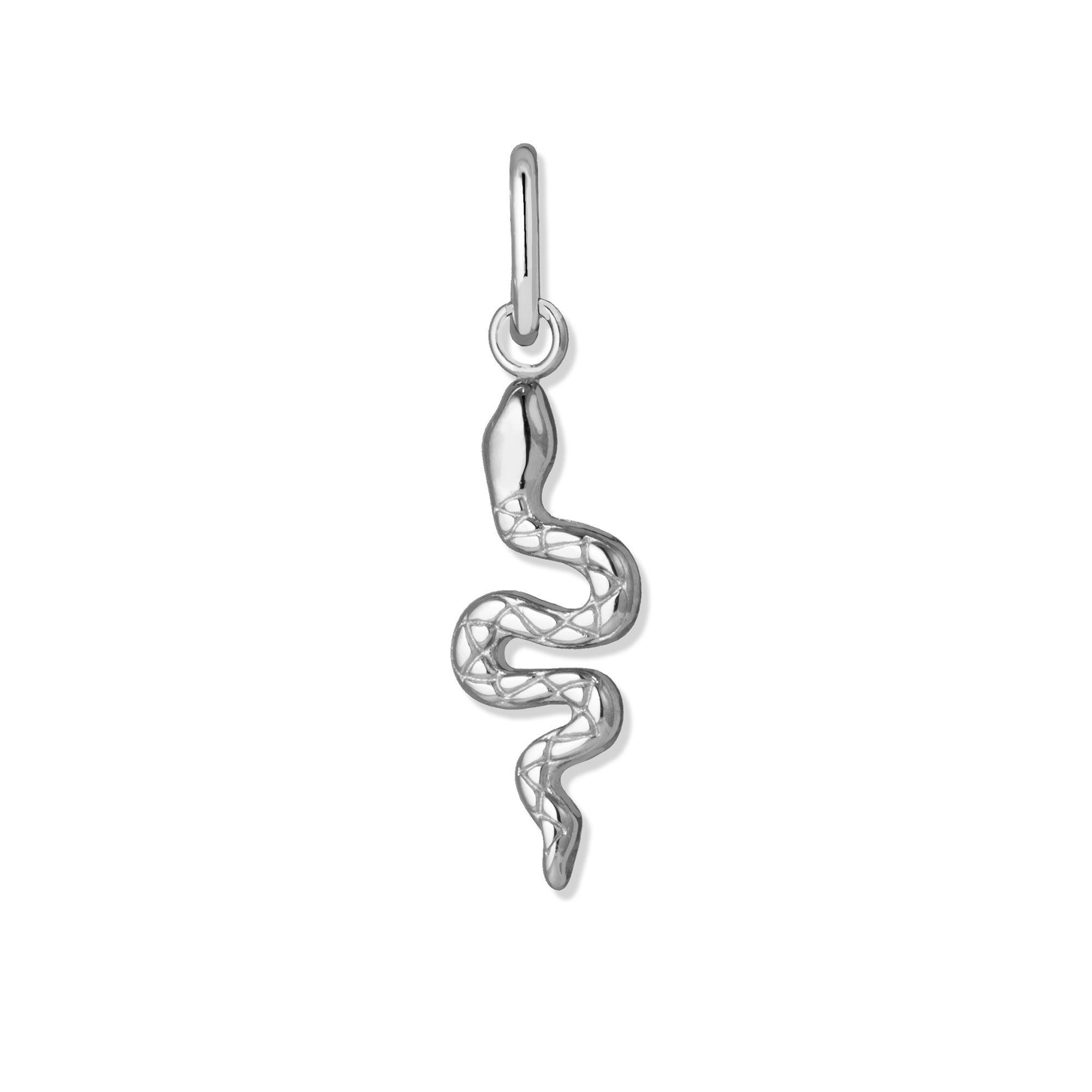Aura charm snake silver